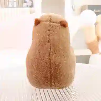 25cm