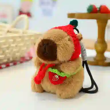 13cm
