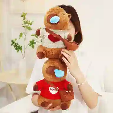 25cm