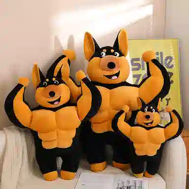 55cm75cm95cm