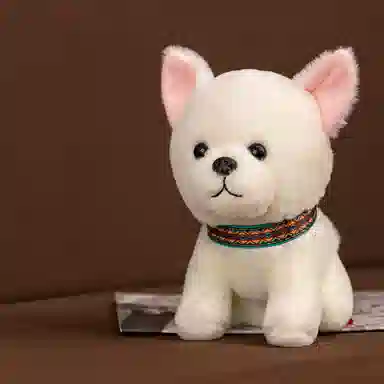 25cm