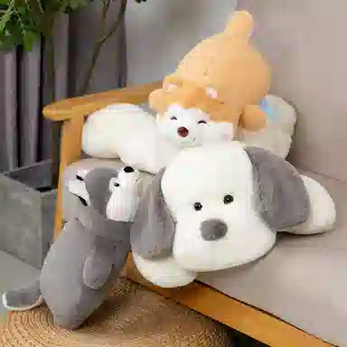 Q