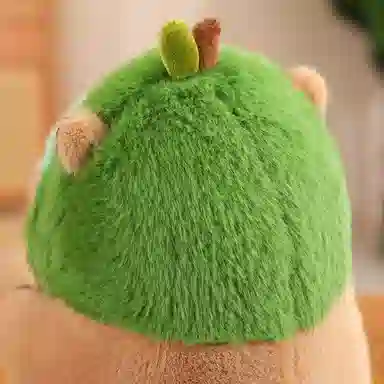 30cm40cm