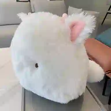 38cm