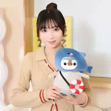 25cm35cm