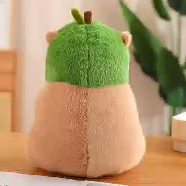30cm40cm