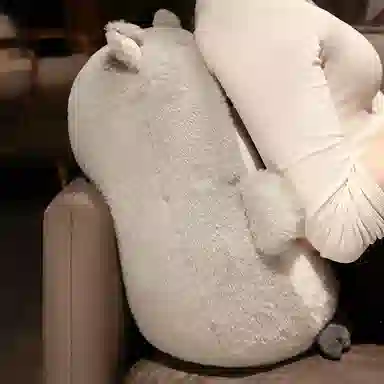 25cm35cm45cm