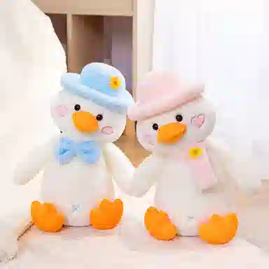 30cm45cm