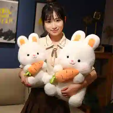 26cm38cm50cm