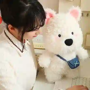 22cm35cm45cm