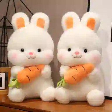 26cm38cm50cm