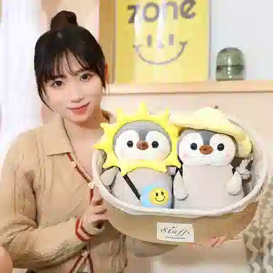 25cm35cm