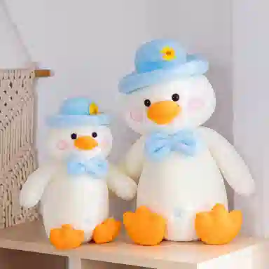 30cm45cm