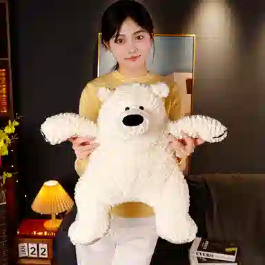 30cm50cm