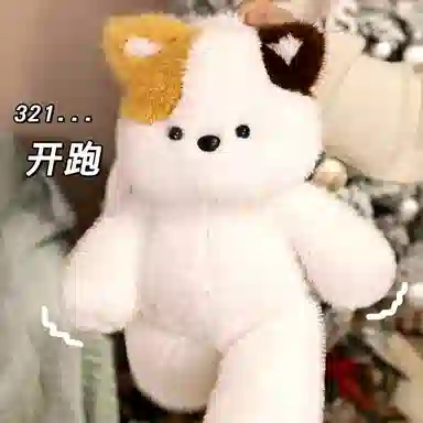 50cm