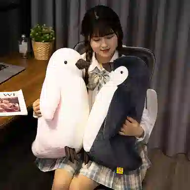 25cm35cm50cm