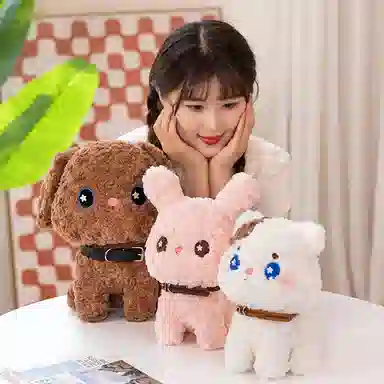25cm30cm