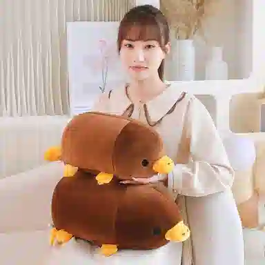 45cm55cm
