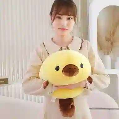 45cm55cm