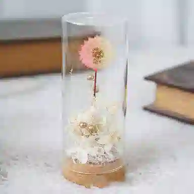 雄俊 蒲公英 永生花摆件 玩具