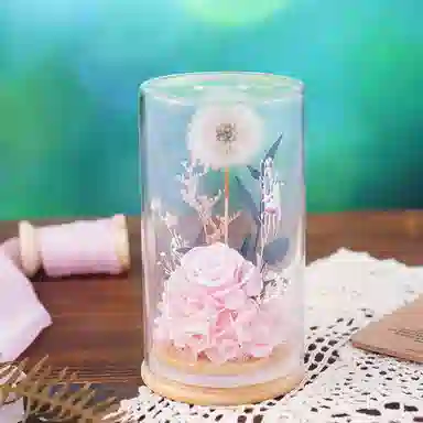 雄俊 蒲公英 永生花摆件 玩具