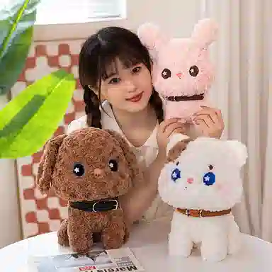 25cm30cm