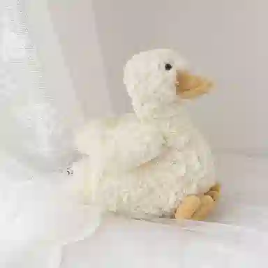 20cm