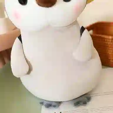 25cm35cm