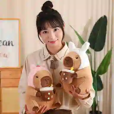 30cm40cm