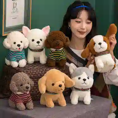 25cm