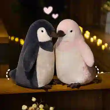 25cm35cm50cm