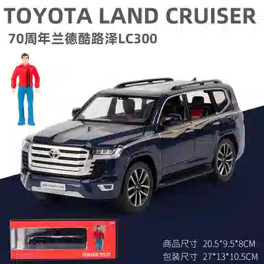 70L300124 6