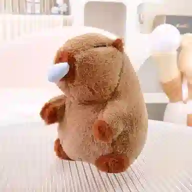 25cm