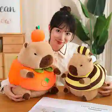 30cm40cm