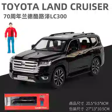 70L300124 6