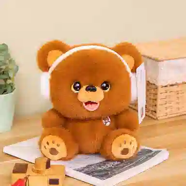 25cm35cm