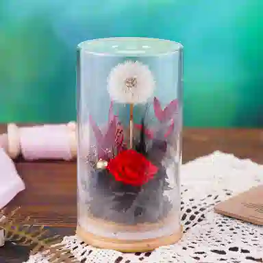 雄俊 蒲公英 永生花摆件 玩具