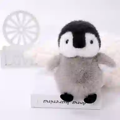 23cm30cm