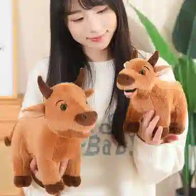 25cm30cm40cm60cm