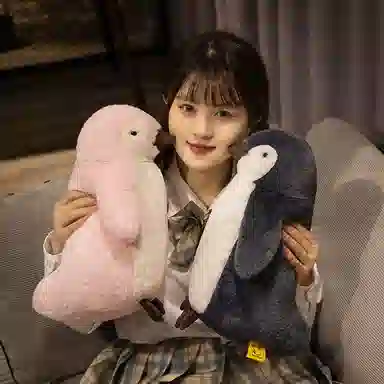 25cm35cm50cm