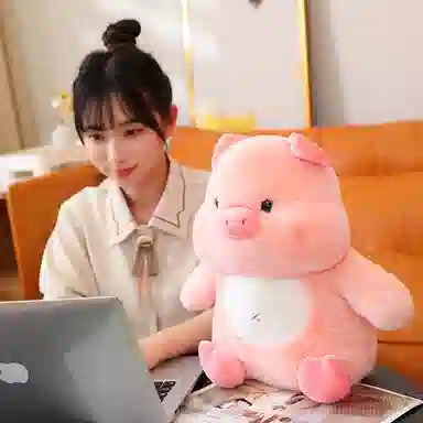 25cm35cm45cm