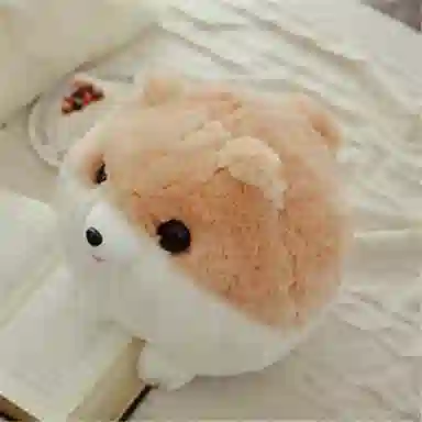 30cm45cm