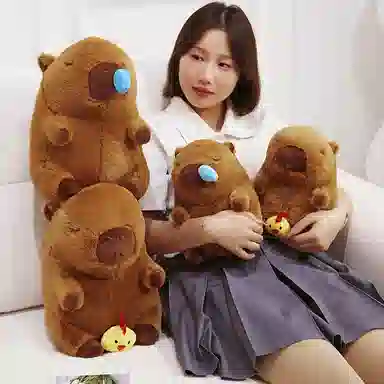25cm35cm45cm