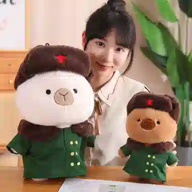 25cm40cm