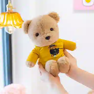 雄俊 穿衣小熊 乖乖熊抱抱熊泰迪熊 玩偶 毛绒公仔