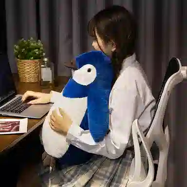 25cm35cm50cm