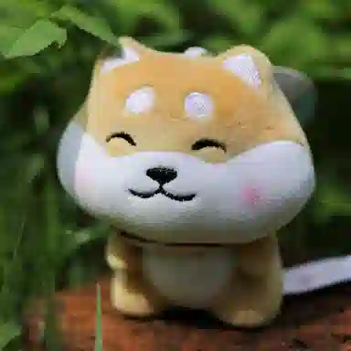 10cm