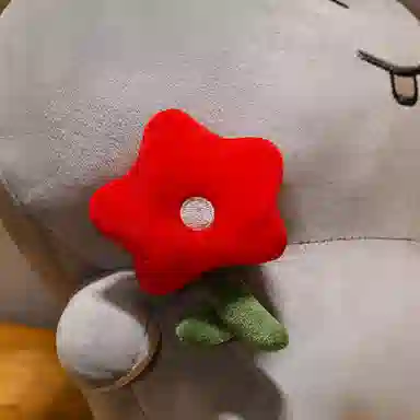 25cm35cm45cm60cm80cm