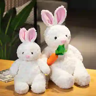 35cm45cm55cm