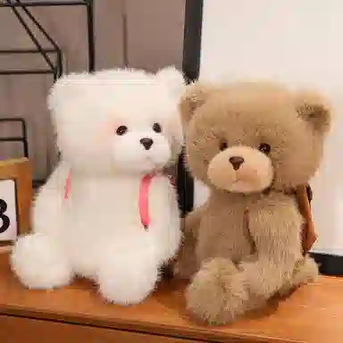 25cm35cm